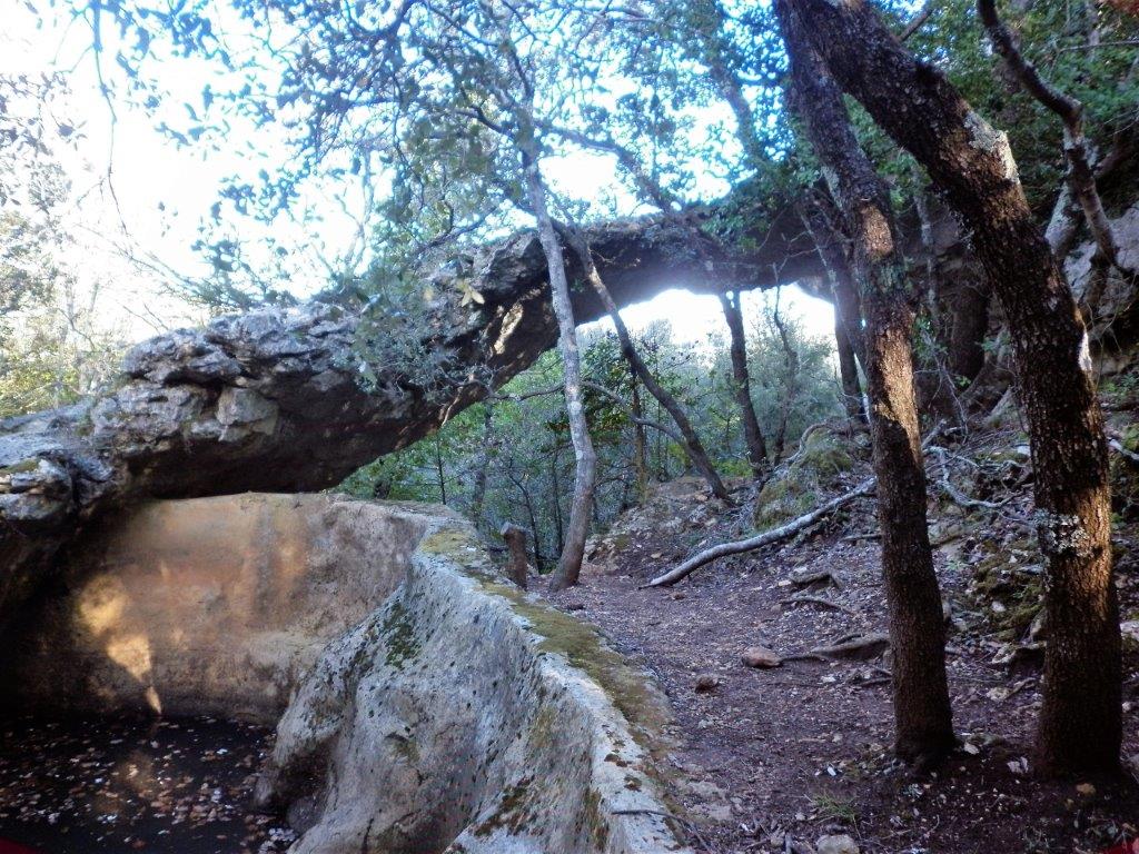 Photo de l'article Forêt des Morières - L'arche de la Garoute