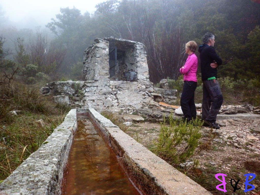 Photo de l'article Dans la brume du coté de Riboux