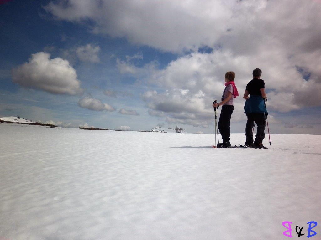Photo de l'article Pré de Fau – Montagne de Lure