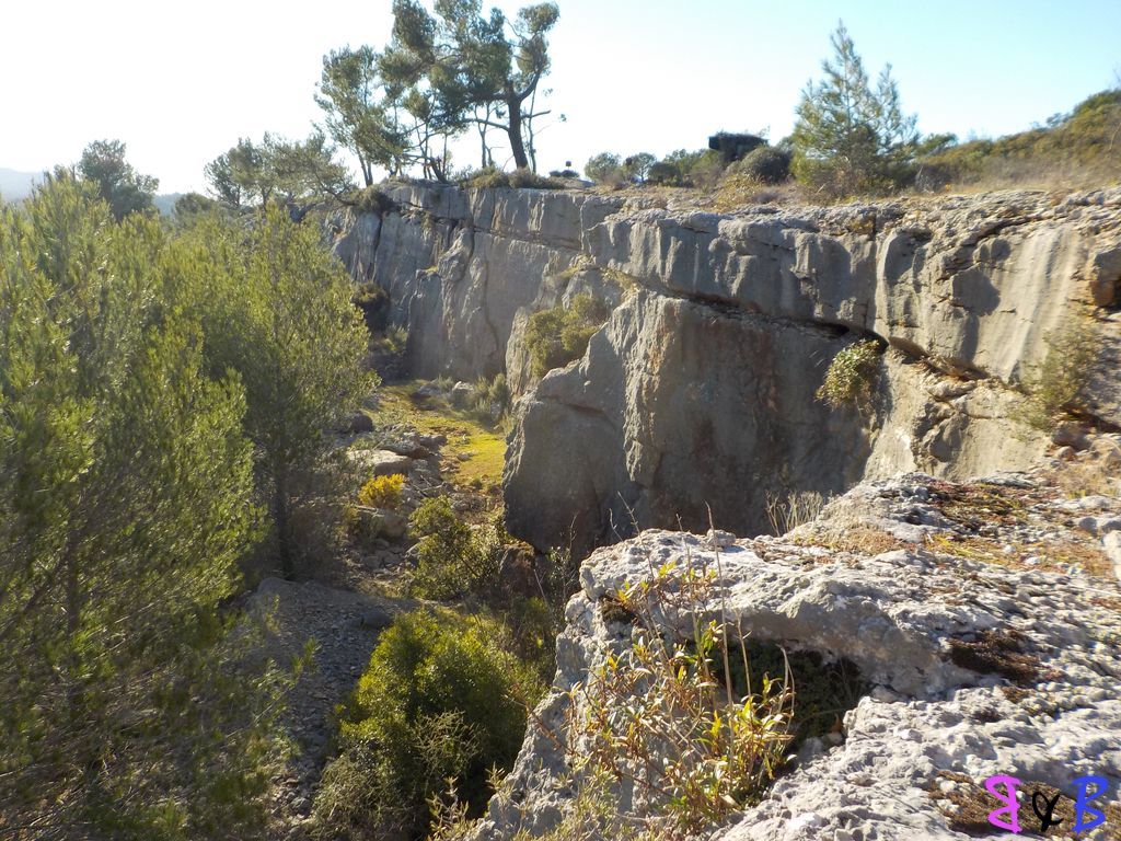 Photo de l'article Initiation descente en rappel