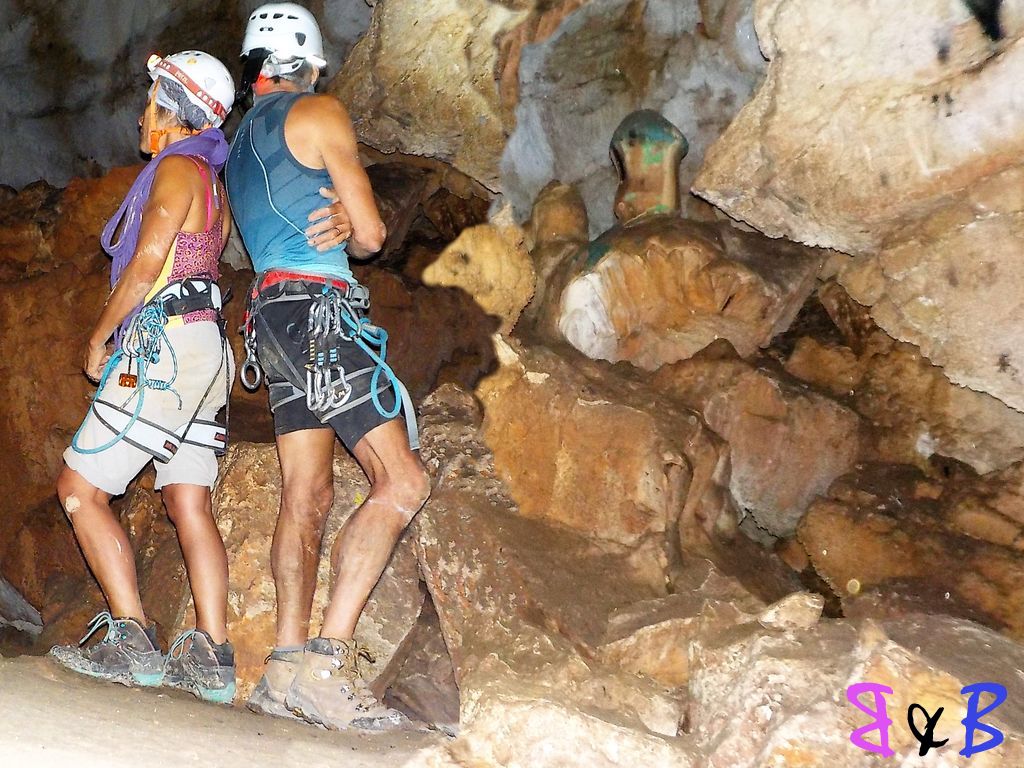 Photo de l'article La grotte aux champignons