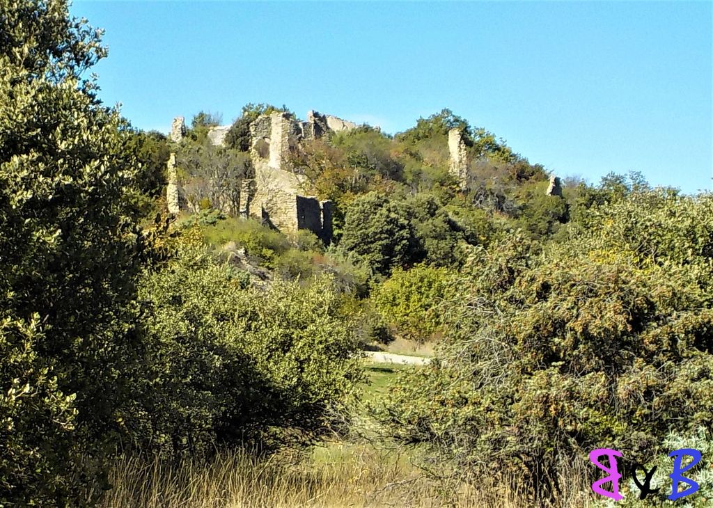 Photo de l'article Le Vieux Village De ChateauNeuf Val Saint Donnat