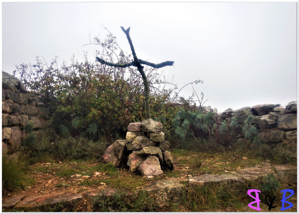 Photo de l'article La Citadelle - Domaine de La Sinne - Puits d'Auzon