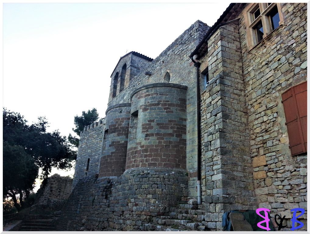 Photo de l'article Entre Rocbaron et Puget-Ville