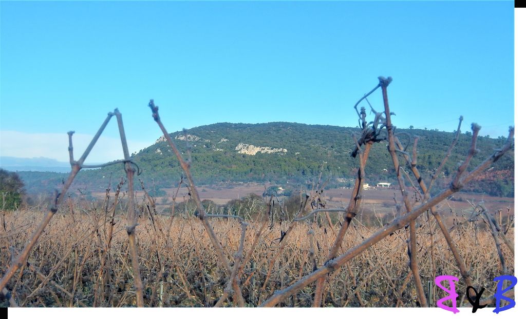 Photo de l'article Oppidum Mont Major