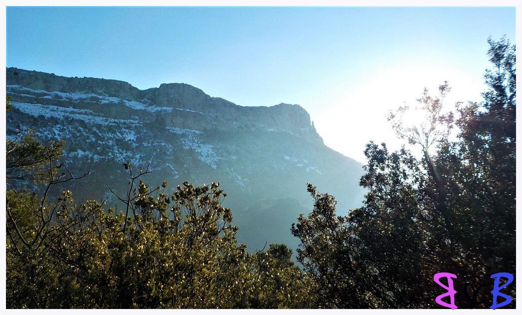 Photo de l'article Monts Auréliens