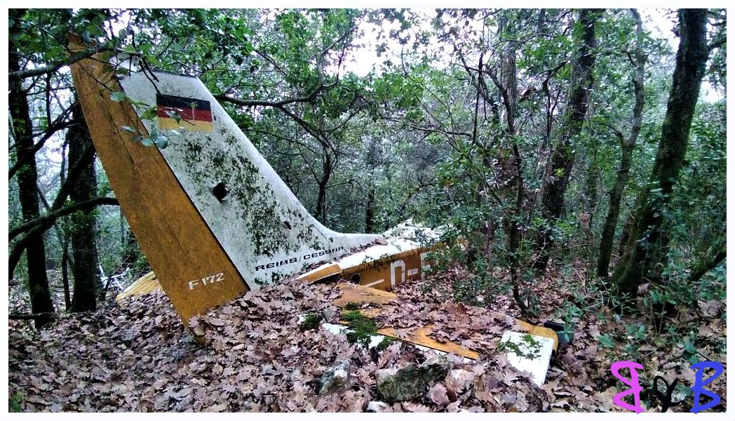 Photo de l'article Crash du Cessna  F-172