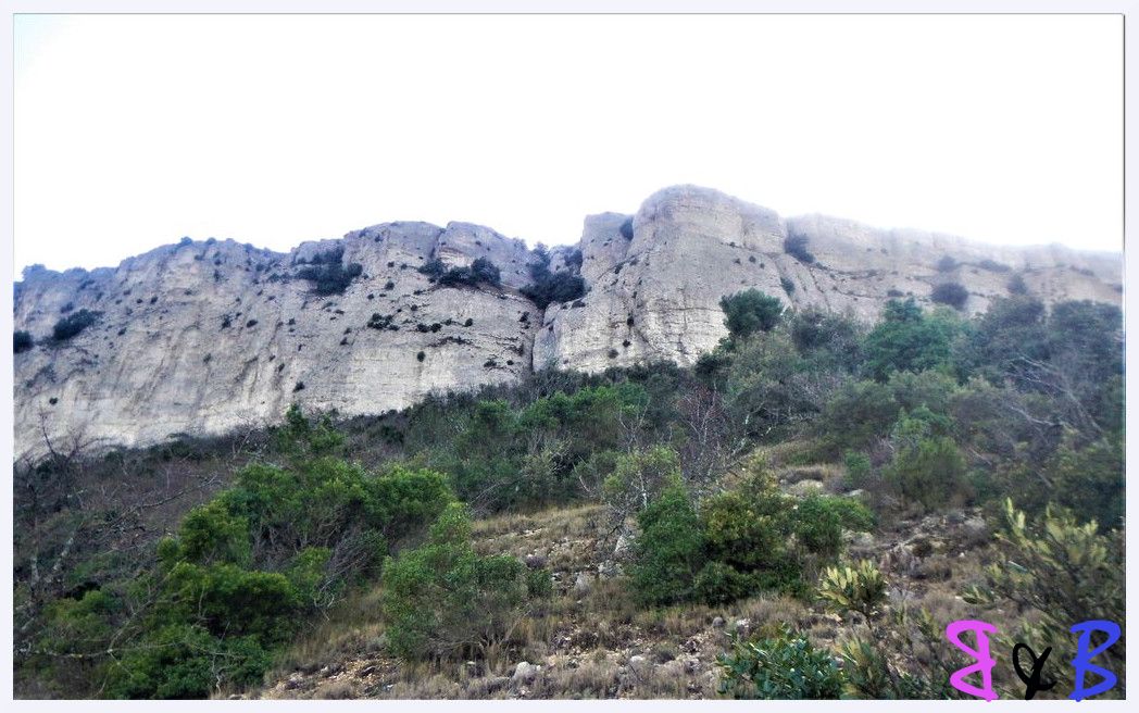 Photo de l'article Mont Aurélien par Saint-Maximin