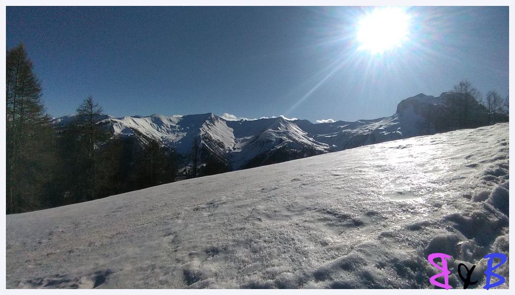 Photo de l'article Pra Loup - La cabane du Fau