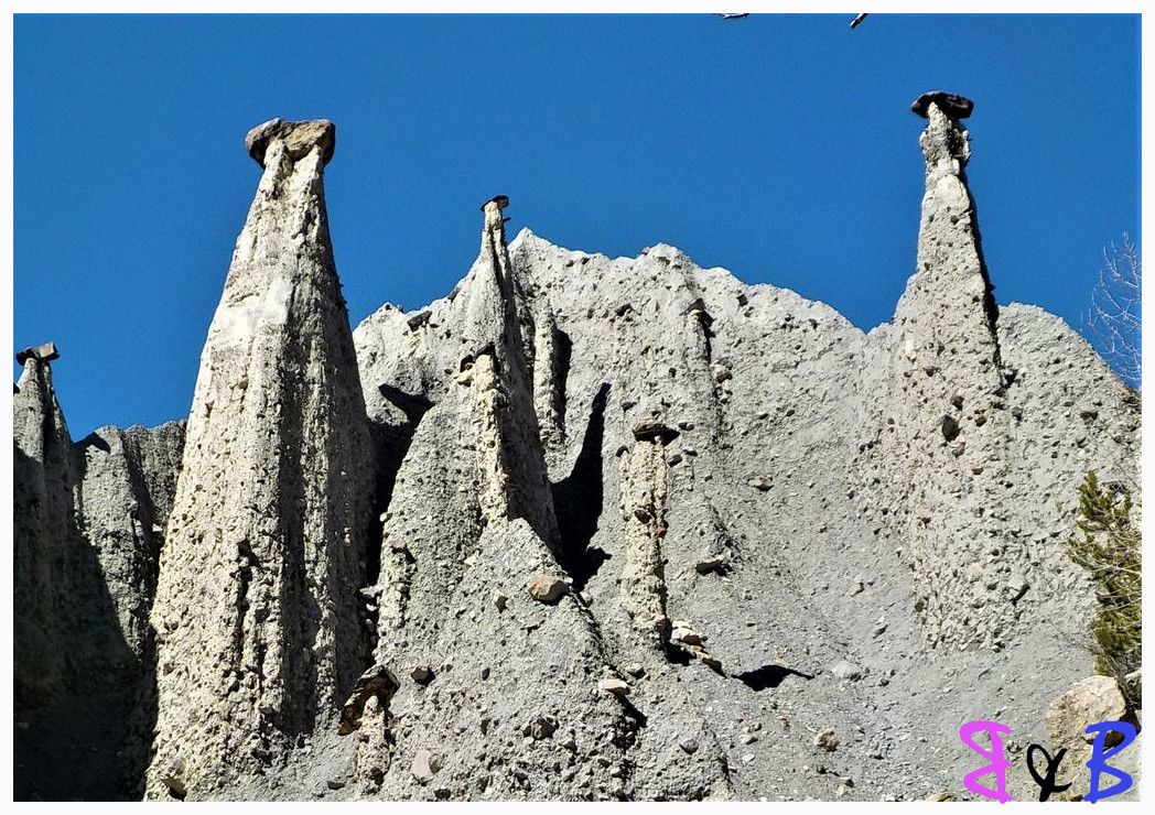 Photo de l'article Les Demoiselles Coiffées de Théus