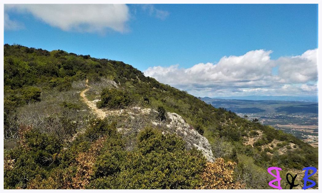 Photo de l'article Mont Aurélien par les vallons