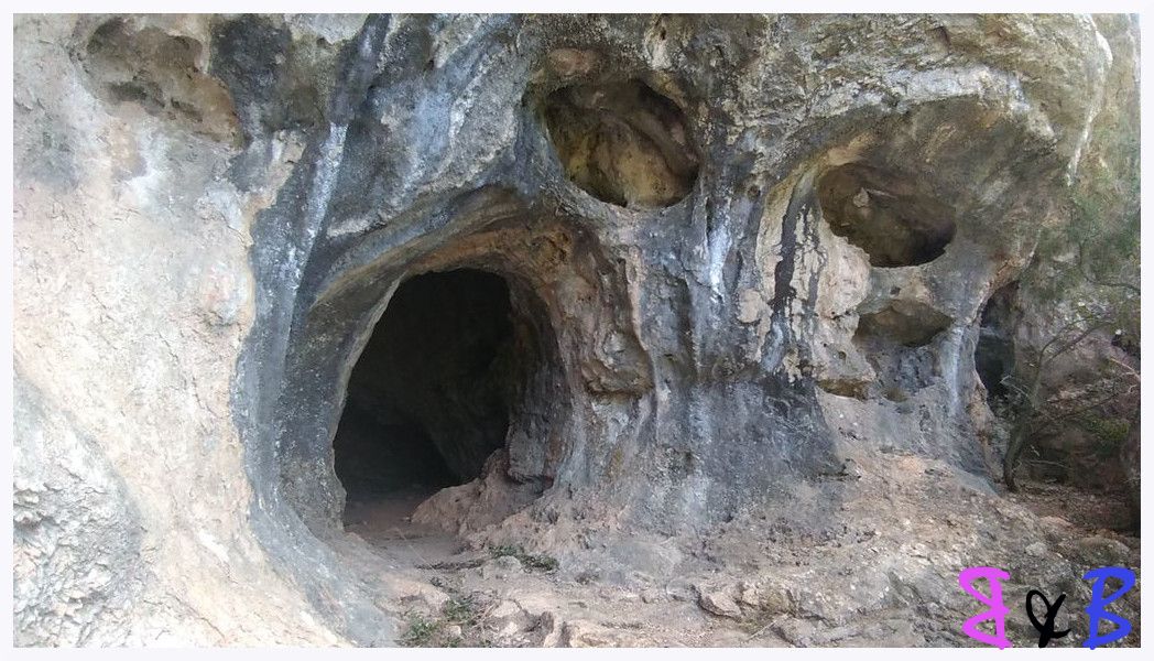 Photo de l'article Baume du Loup