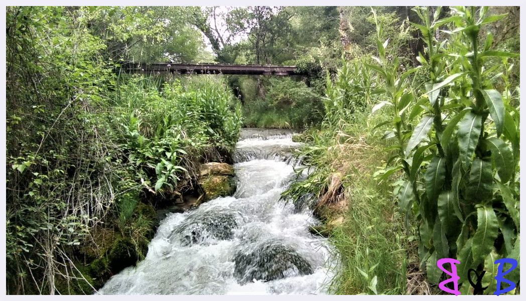 Photo de l'article Rand'eau dans le Colostre
