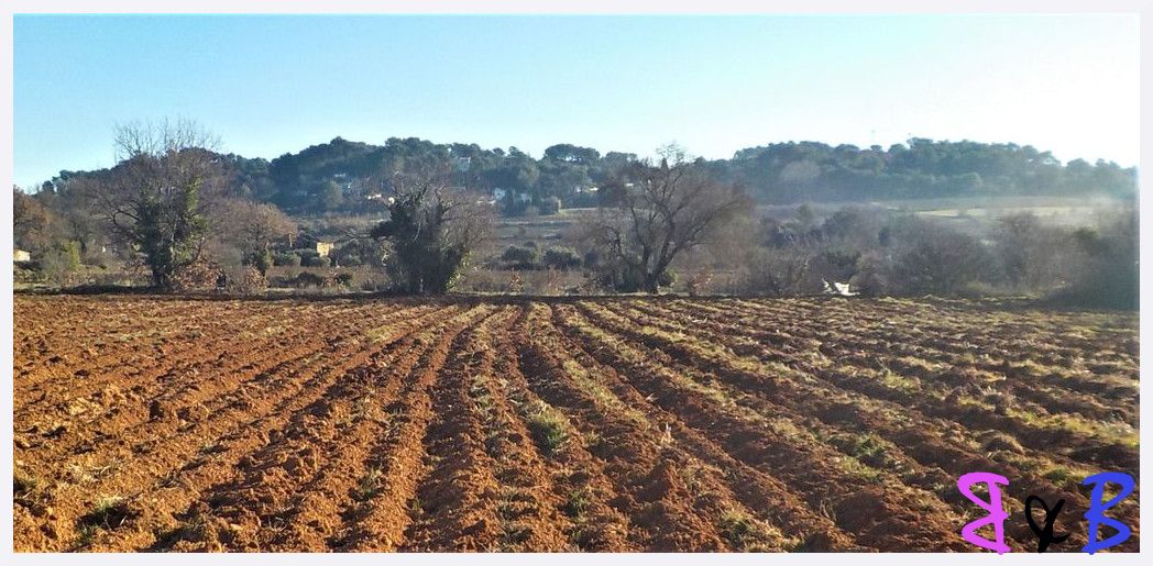 Photo de l'article Le circuit du Gascon