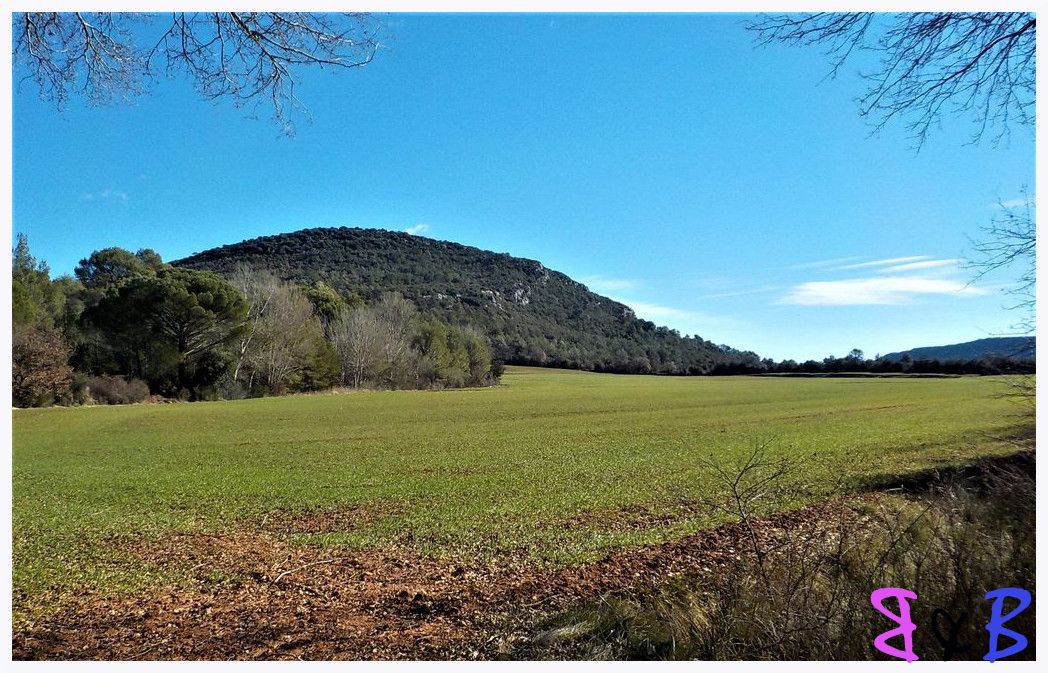 Photo de l'article Du Mont Major à l'oratoire Saint-Martin