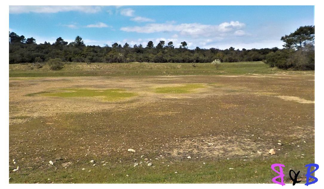 Photo de l'article Les étangs de St-Jacques