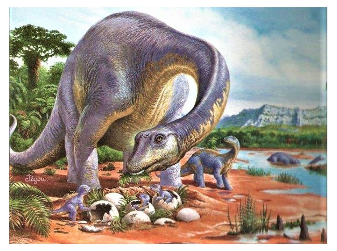 Photo de l'article Sainte-Victoire sur la trace des dinosaures