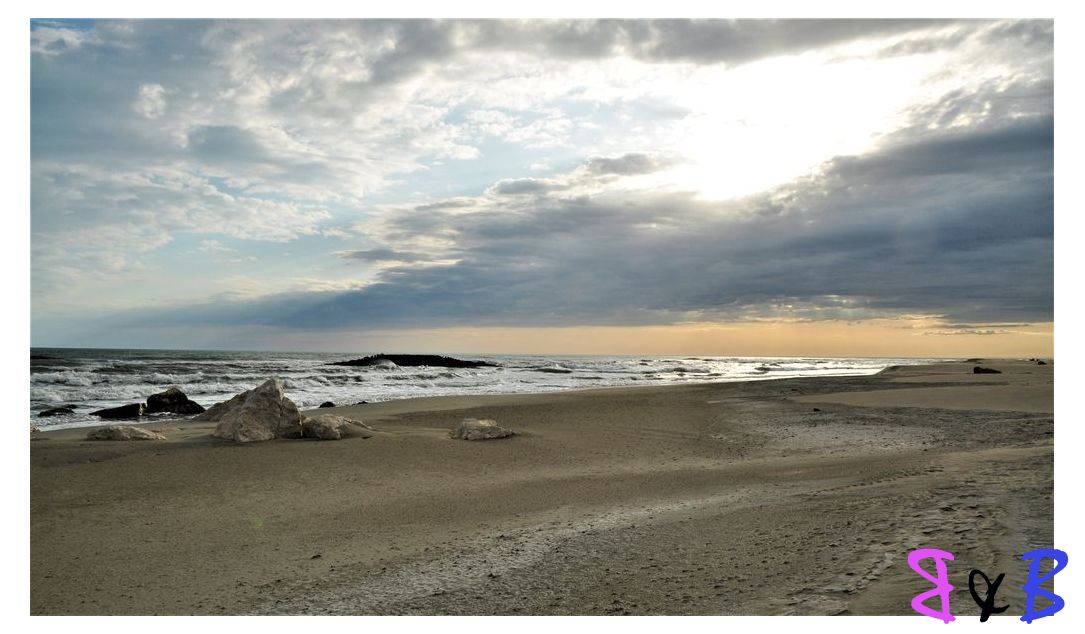 Photo de l'article Evasion, deux jours en Camargue.