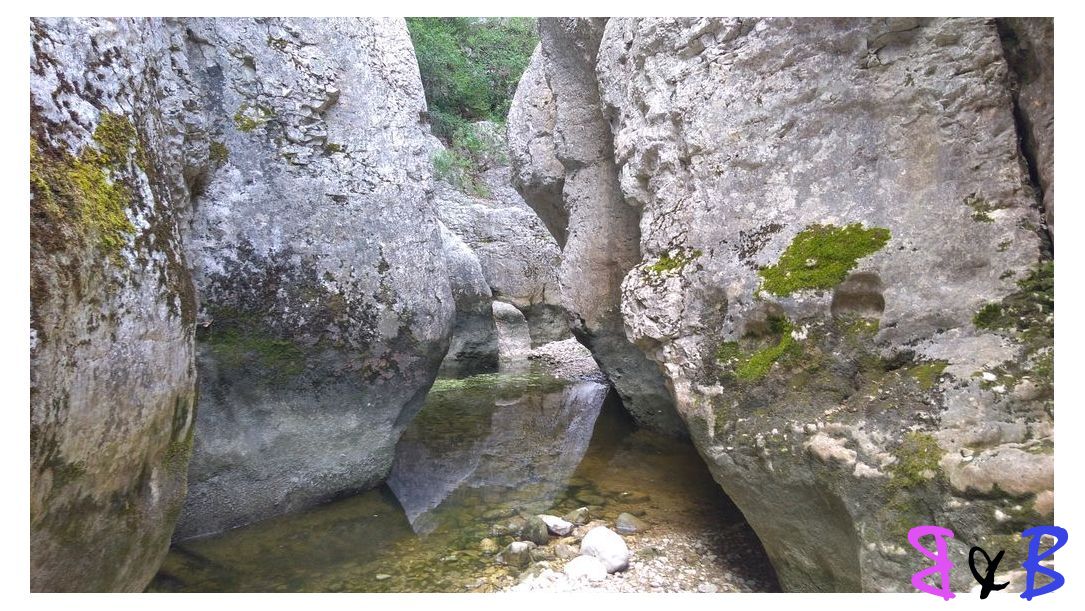 Photo de l'article Canyon d'Oppedette par le fond