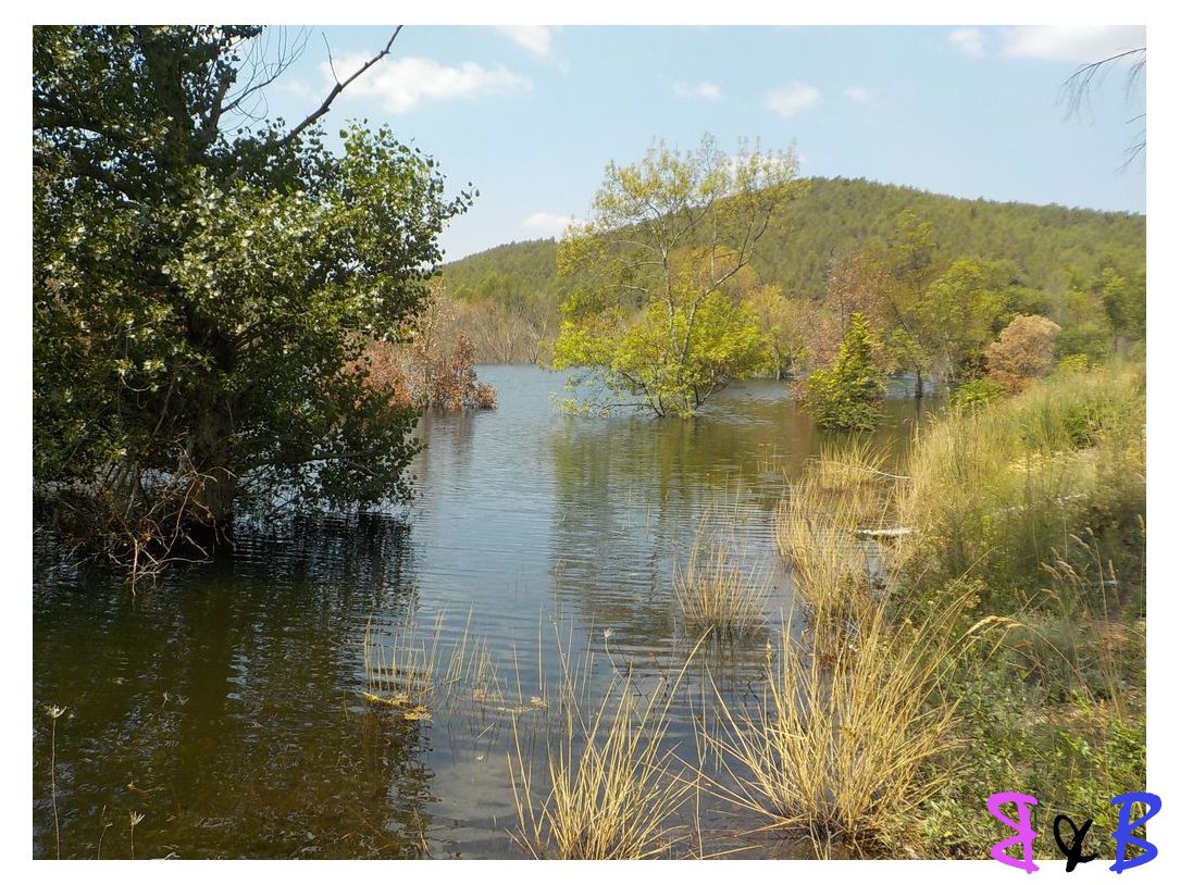 Photo de l'article Des cascades de l'Infernet à Bimont