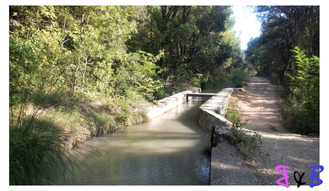 Photo de l'article Canal de Manosque
