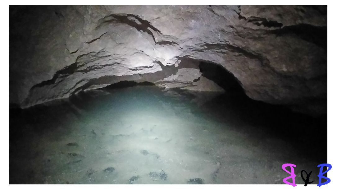 Photo de l'article Les grottes de Nans-les-Pins