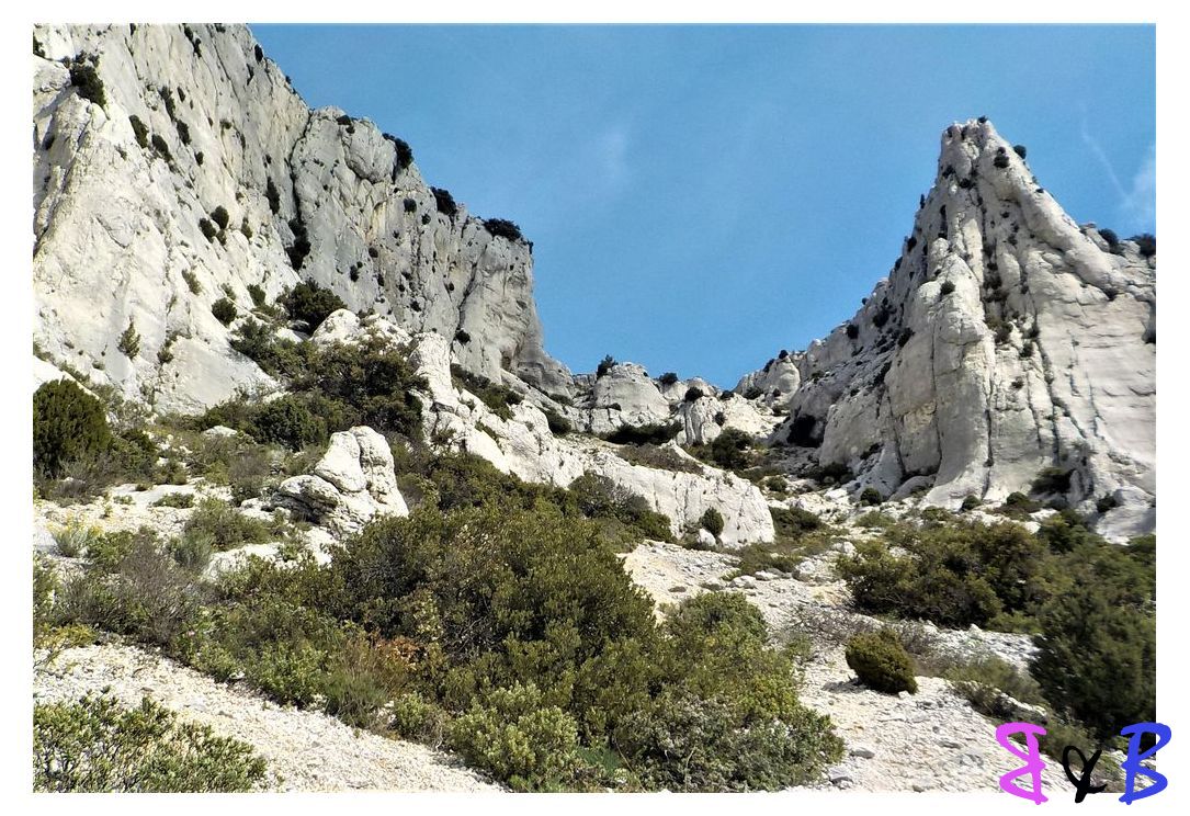 Photo de l'article Calanques - Le Pas du Chat