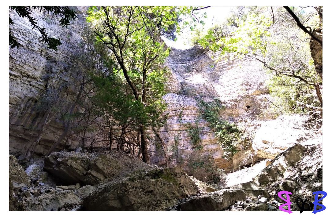 Photo de l'article Vallon de l'Herbette