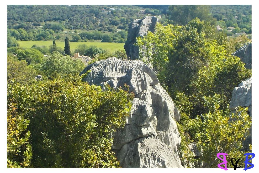 Photo de l'article La mer des rochers