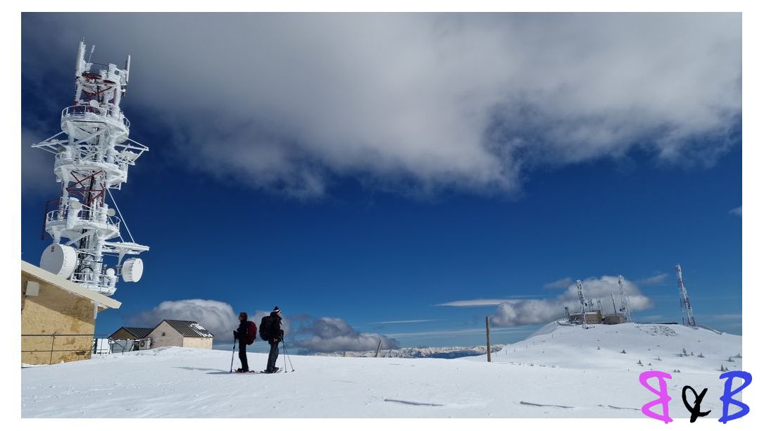 Photo de l'article Montagne de Lure en raquettes