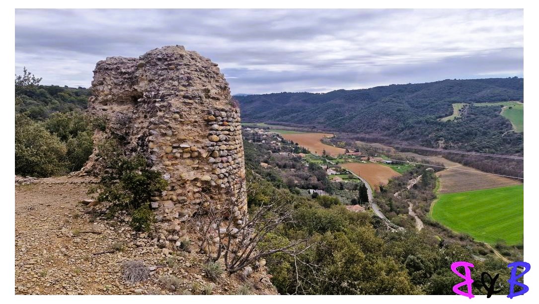 Photo de l'article Oraison - Le bois de St-Martin