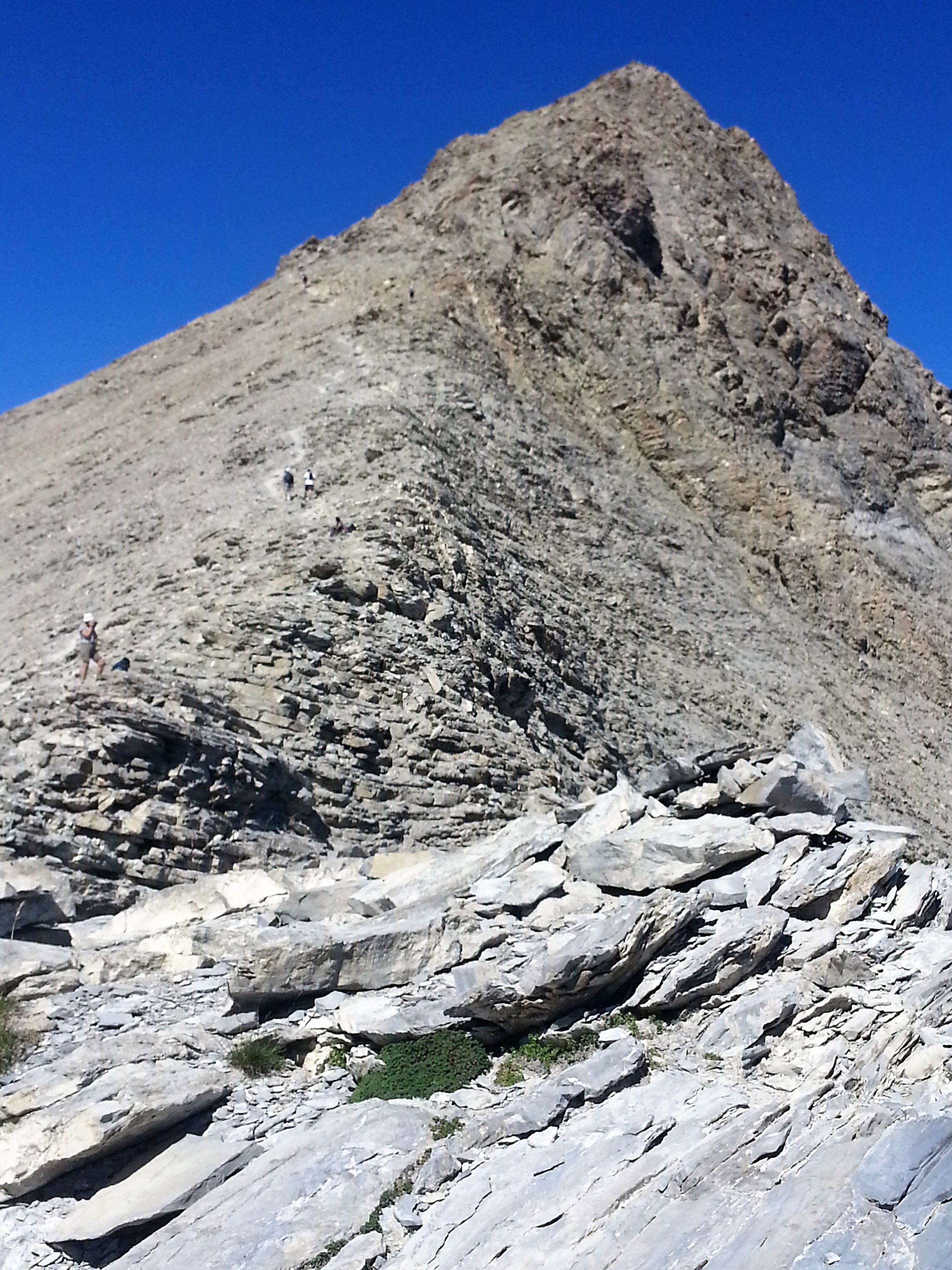 Photo de l'article Le mont Pelat 3051m