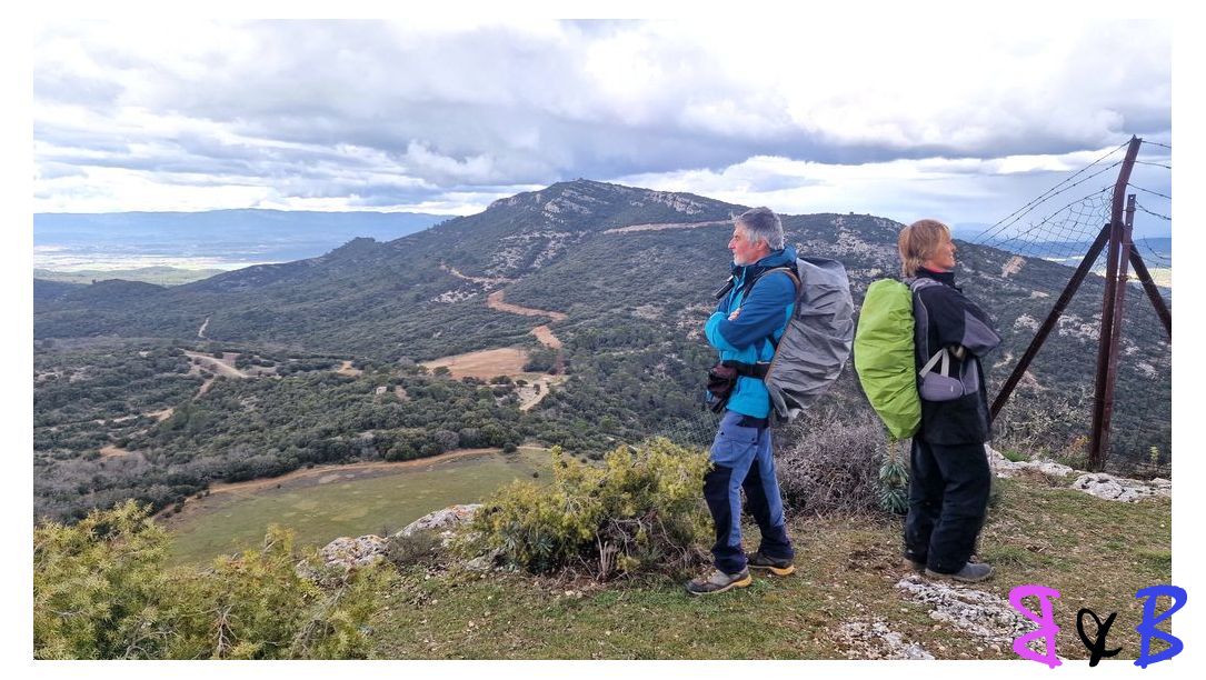 Photo de l'article