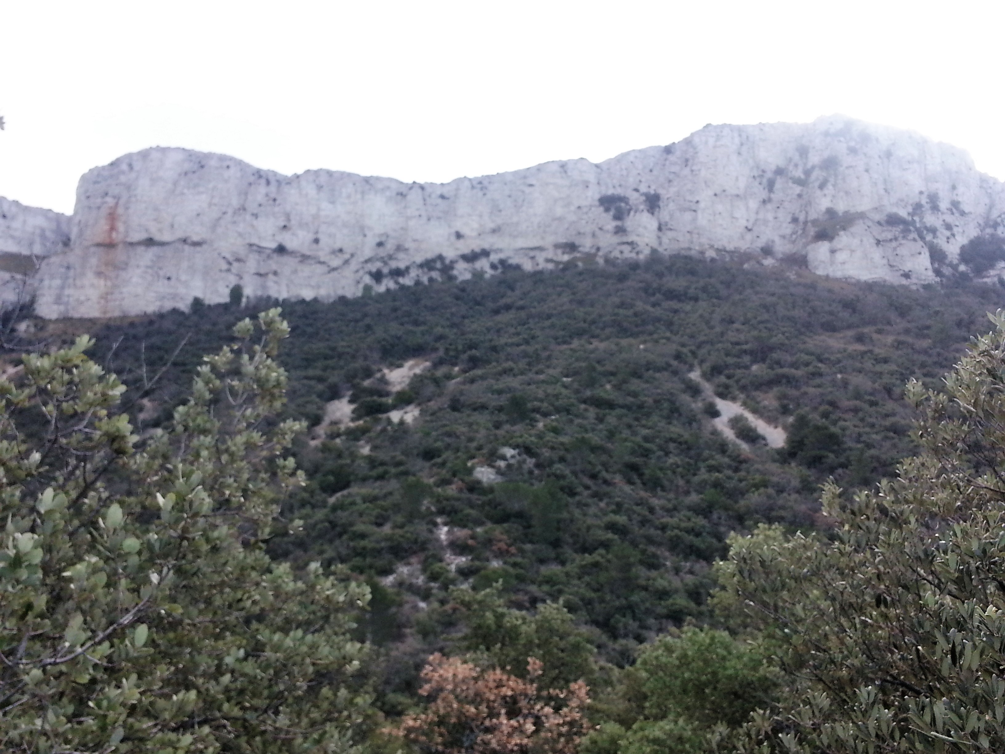 Photo de l'article Le Mont Aurélien depuis Pourcieux