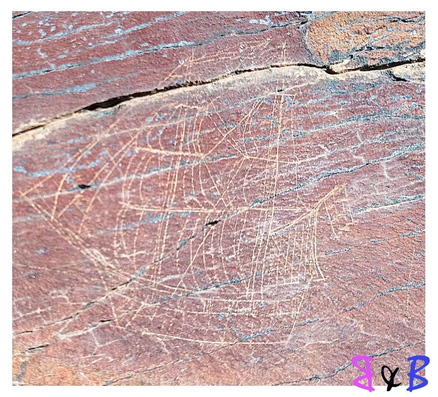 Photo de l'article Gravures marines domaine du cap Sicié