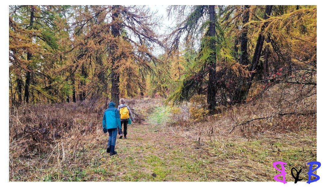 Photo de l'article Puy-Saint-Vincent - Balade au-dessus de la station