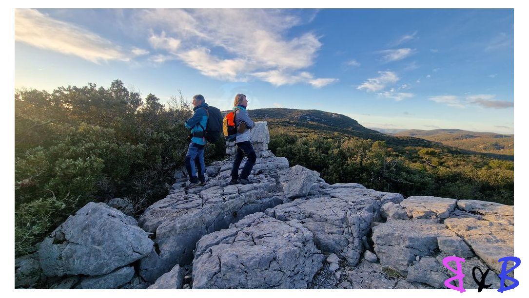 Photo de l'article Signes - Siou-Blanc Avens et Apié