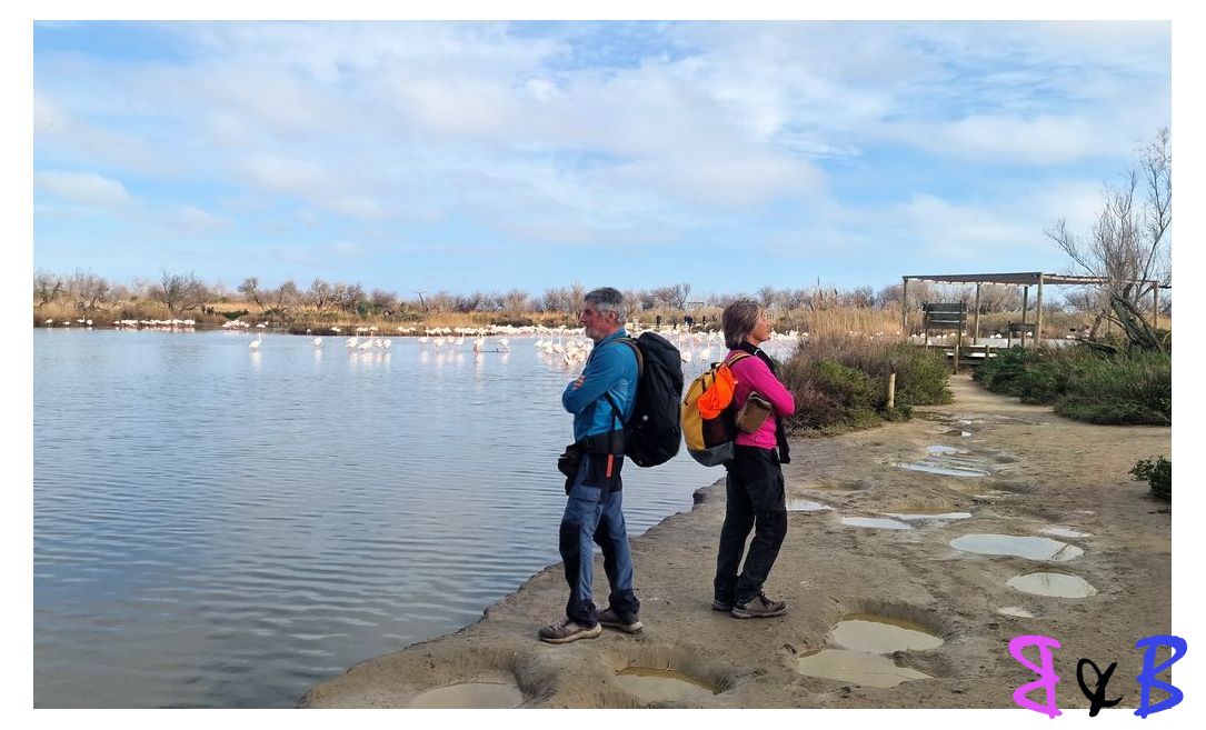 Photo de l'article Pont-de-Gau - Parc ornithologique