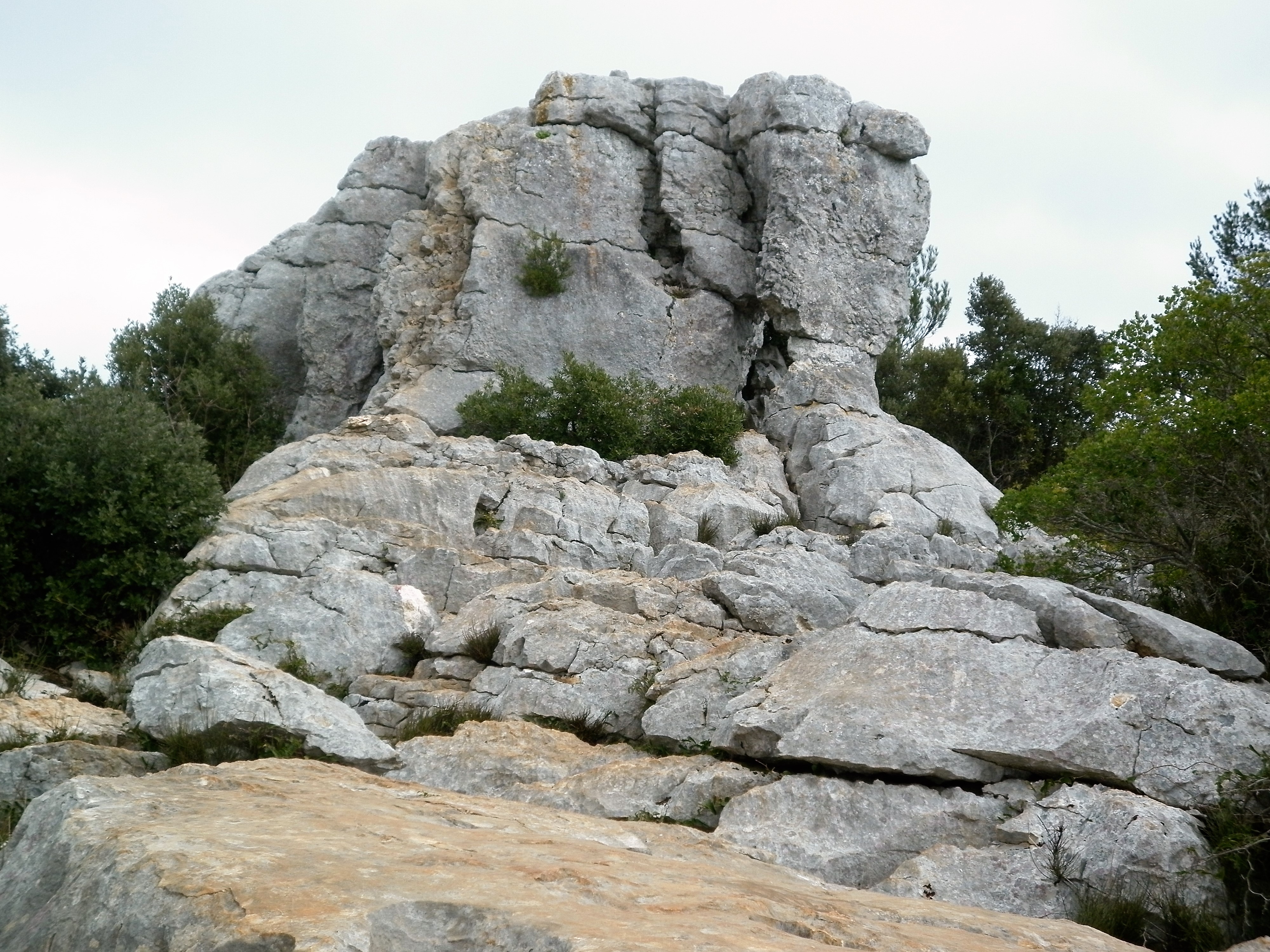 Photo de l'article Plateau du Siou blanc aiguilles de Valbelle