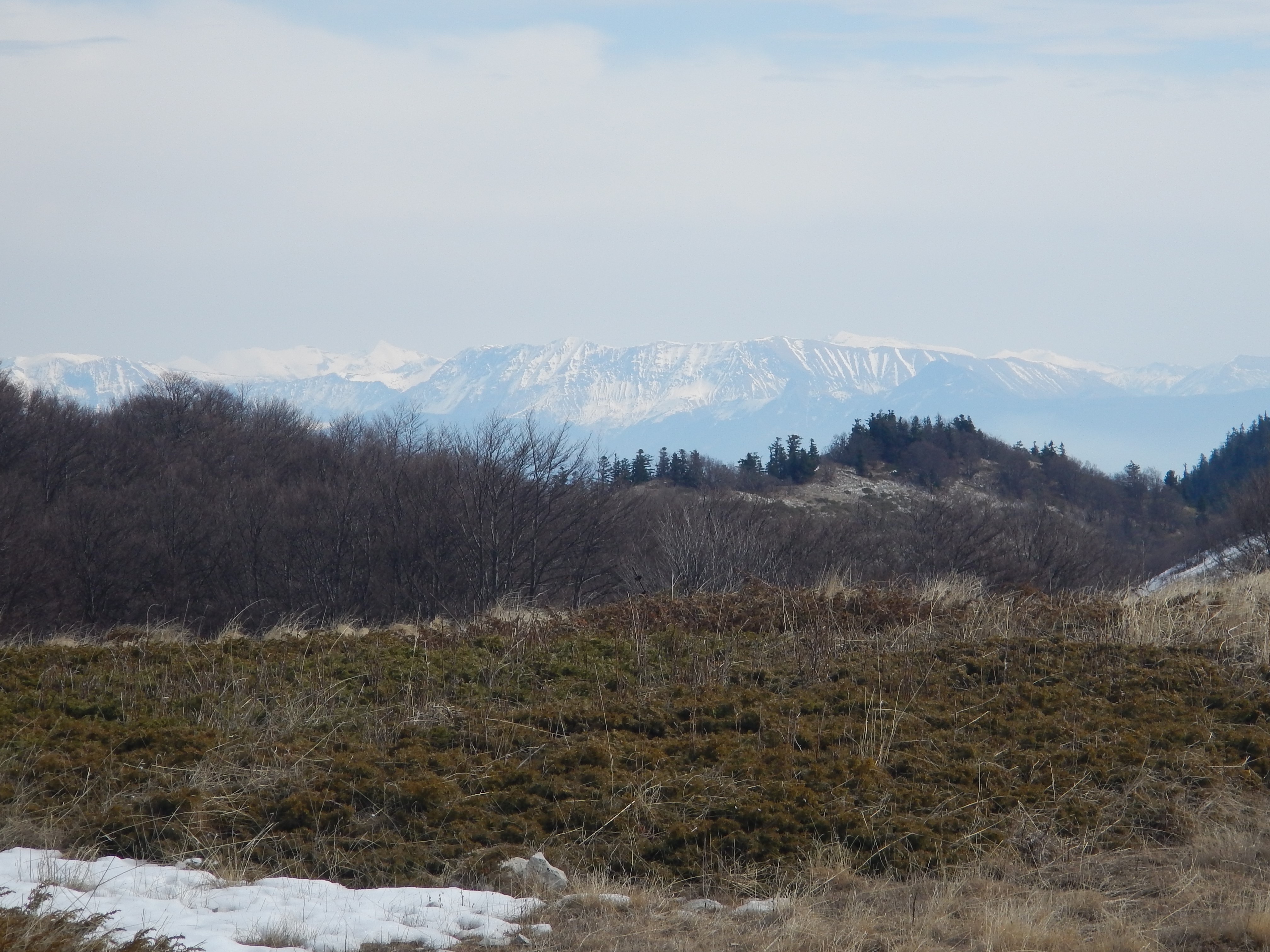 Photo de l'article La montagne de Lure