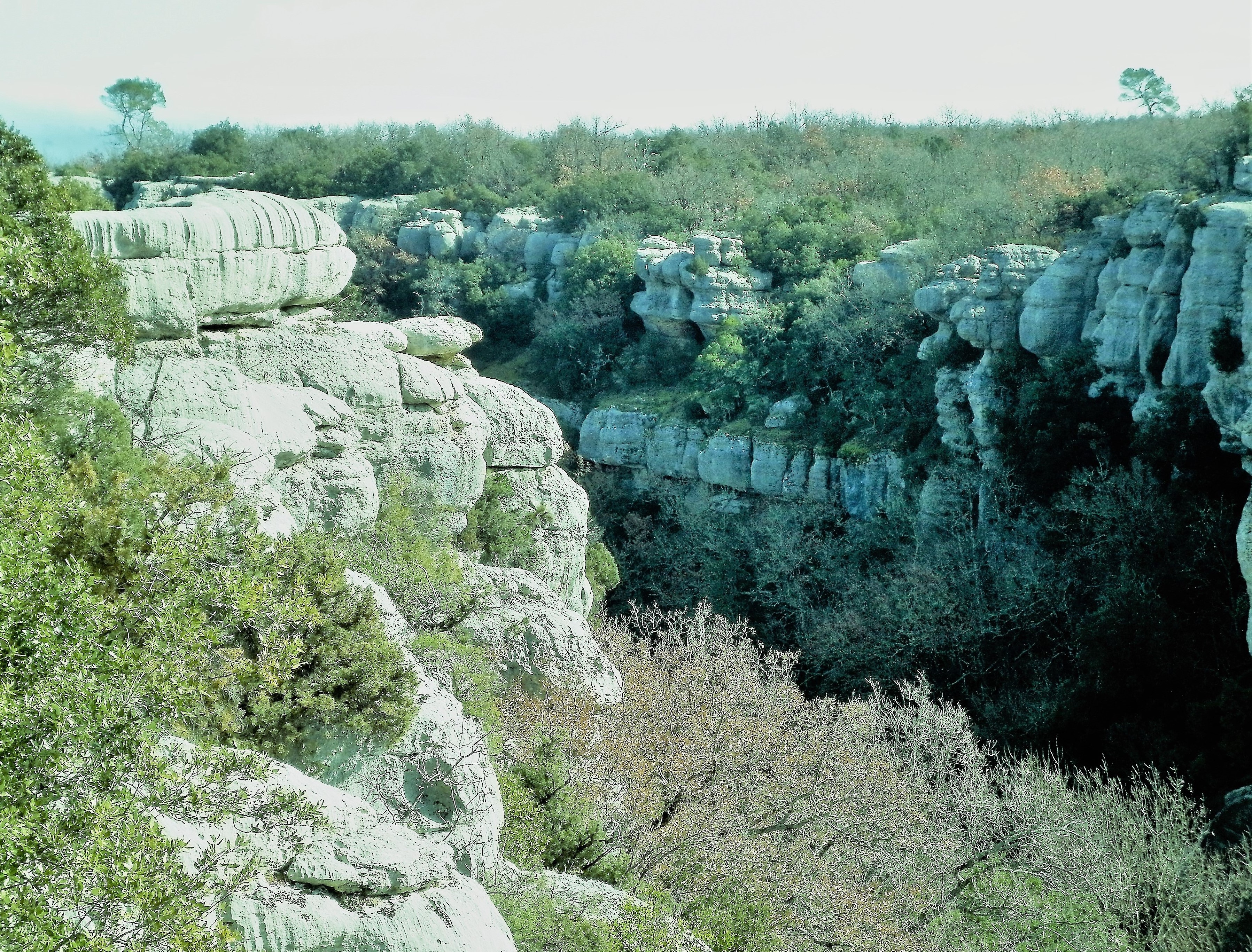 Photo de l'article Gorges du Caramy - Grotte St Michel
